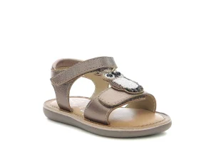 Niño Mod 8 Sandalias^Sandalias Primeros Pasos Cloonimals
