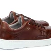 Hombre Martinelli Zapatillas^Zapatillas Newhaven 1660
