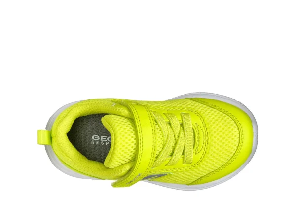 Niño Geox Zapatillas^Zapatillas Primeros Pasos B Sprintye Boy
